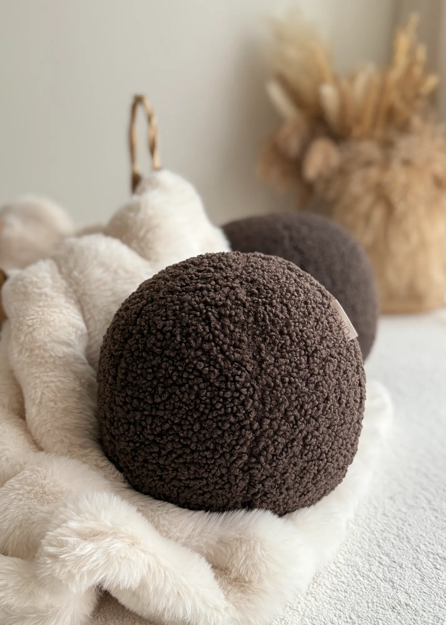 kamuoly sokoladas teddy 3
