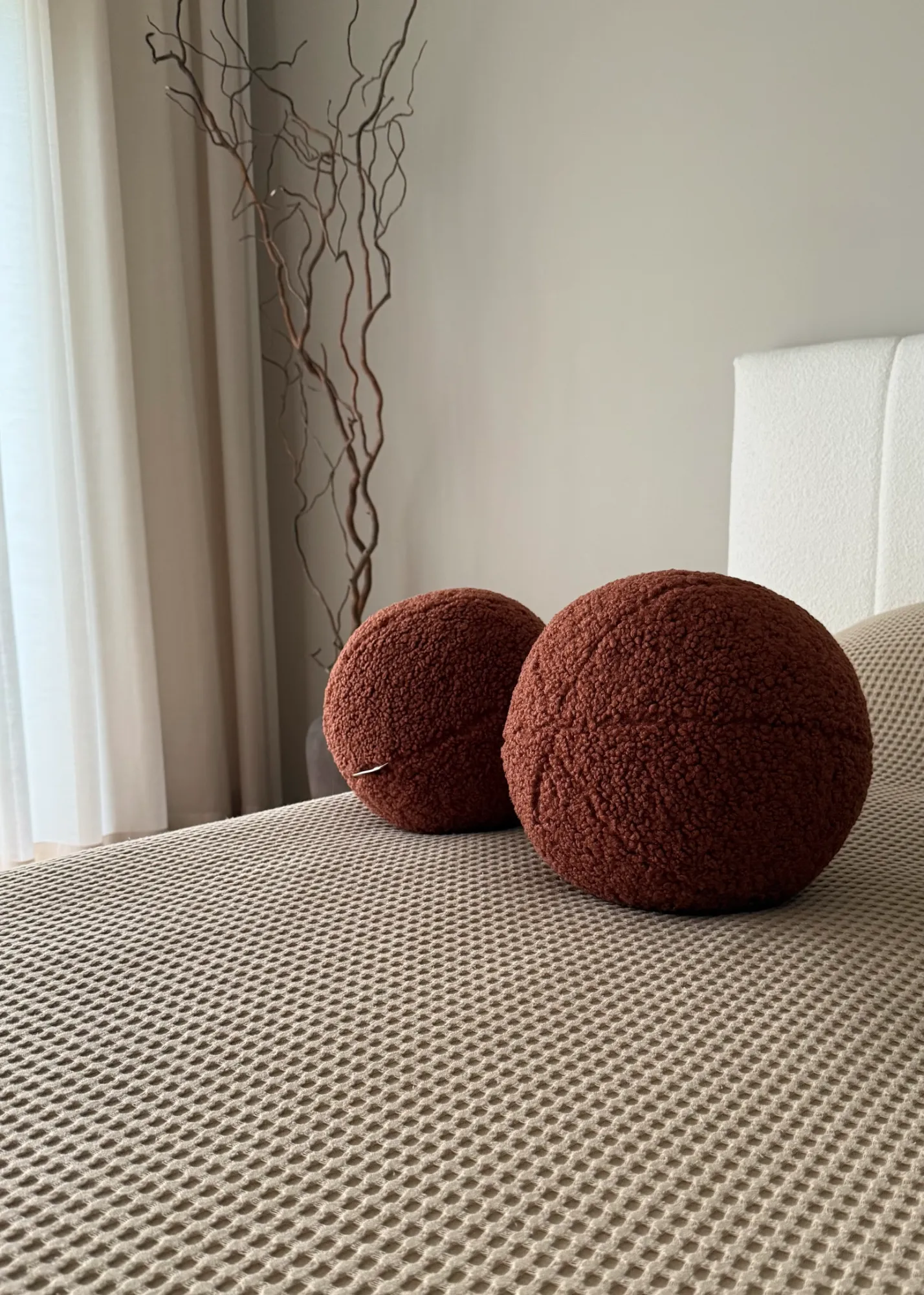 terakota teddy 3 kamuolys